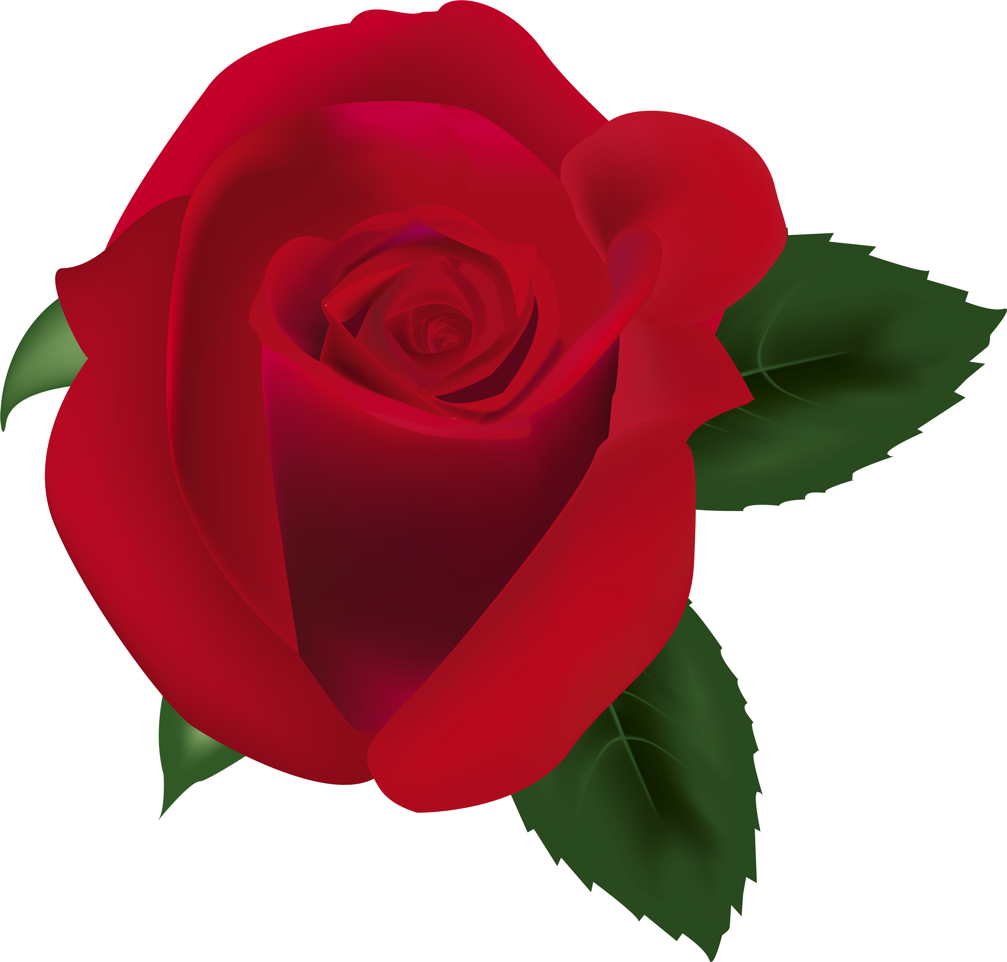 Red Rose Png Clipart Image - Garden Roses (4000x3858)