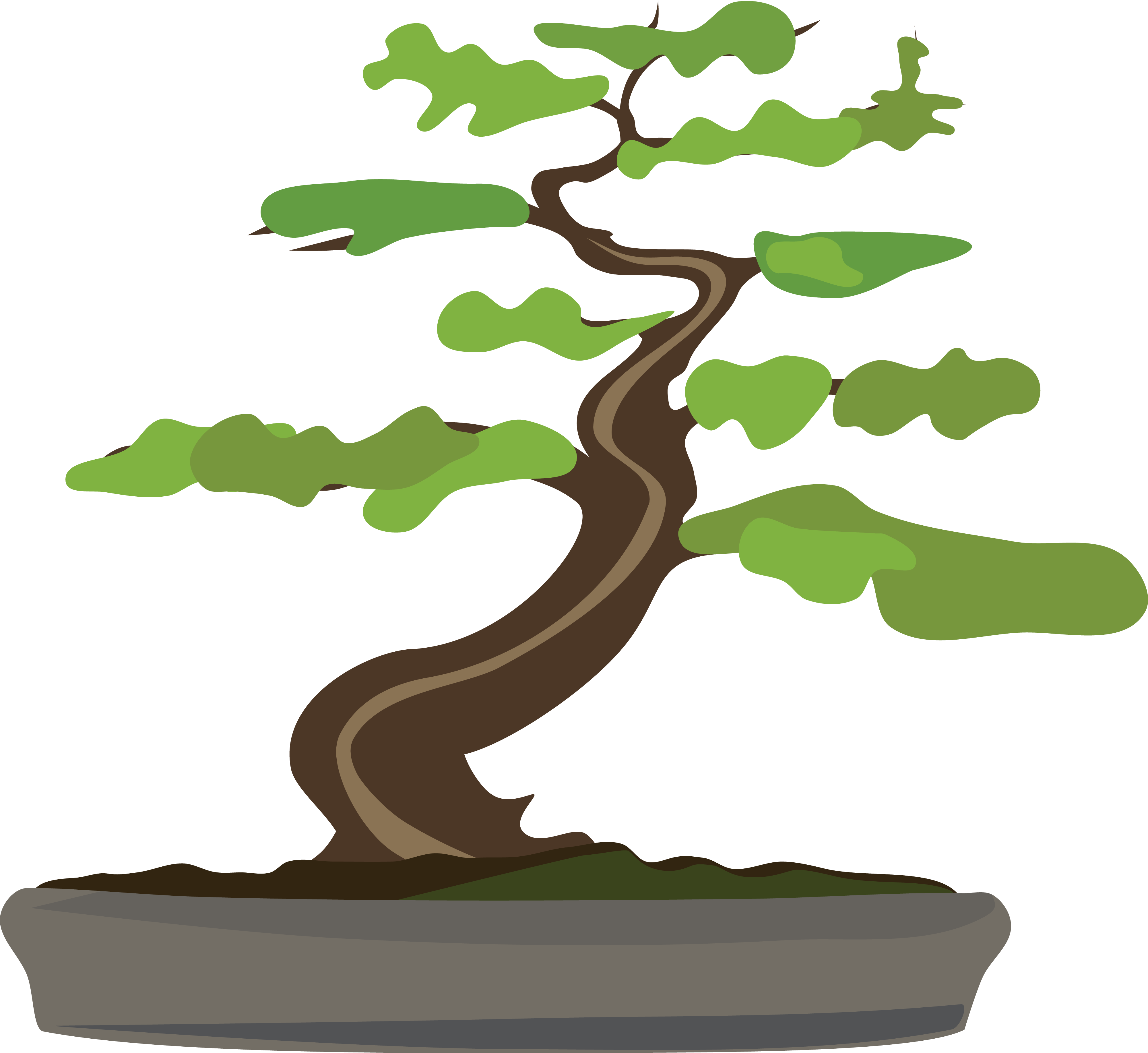 Free Clipart Of A Bonsai Tree - Bonsai Clipart (4000x3668)