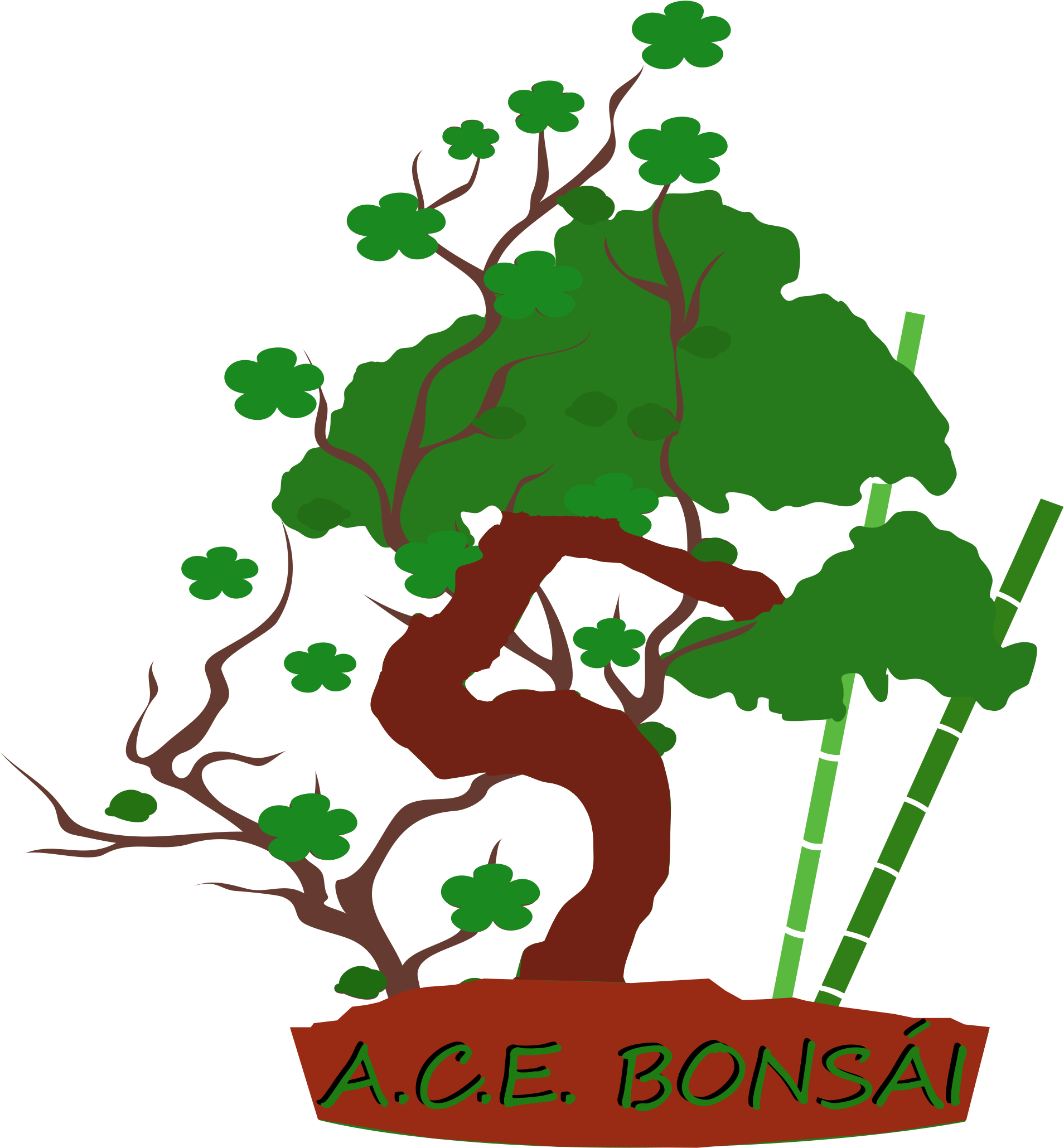 Según Su Tamaño Y Forma - Bonsai (1958x2108)