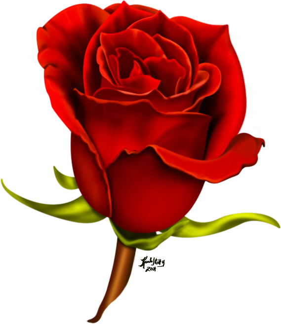View Larger Image - Red Rose For Girl Friend (569x657)