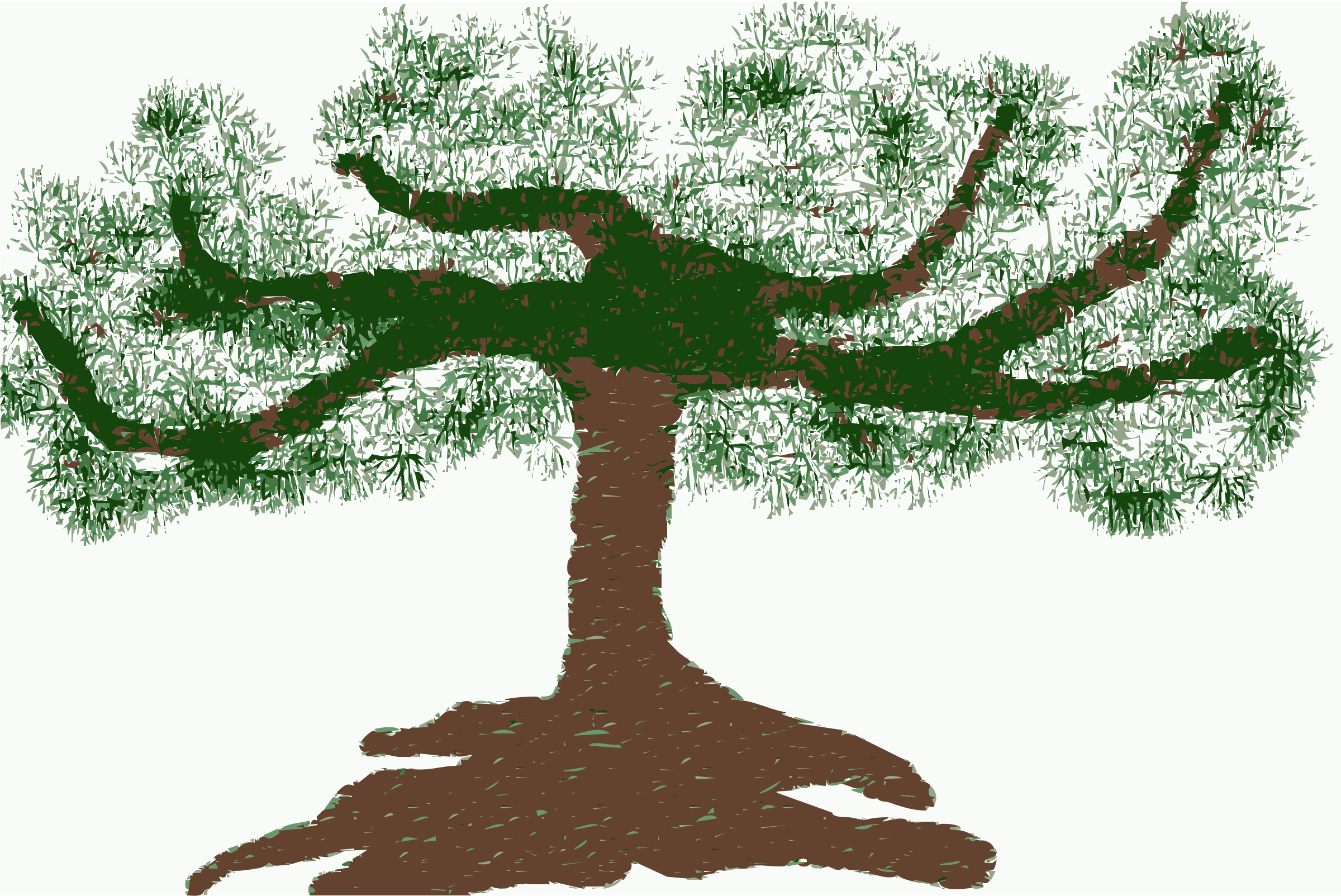 Clipart - - Bonsai Tree Clipart Png (2400x1604)