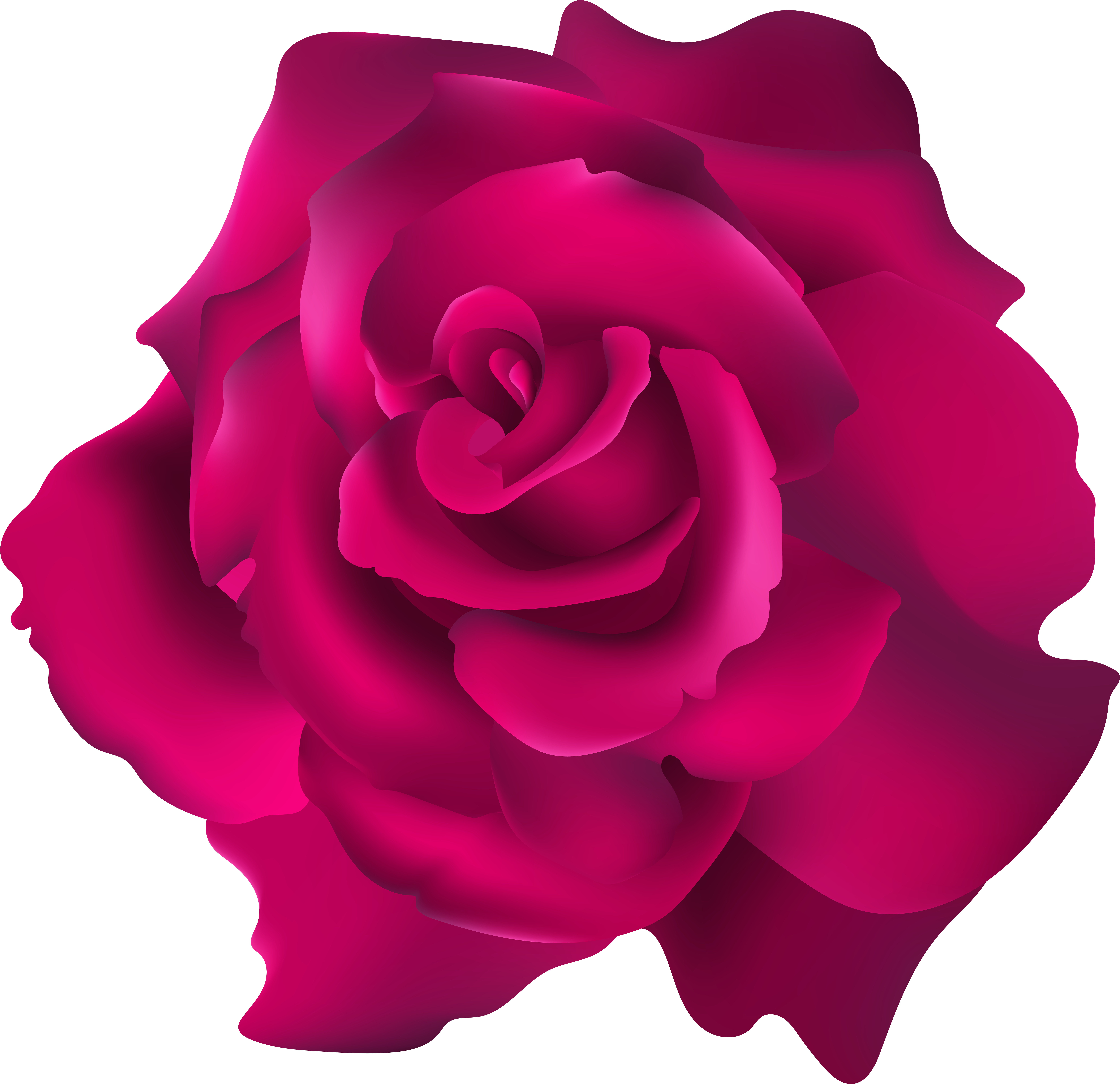 Pink Rose Transparent Clip Art Png Imageu200b Gallery - Pink Rose Transparent Clip Art Png Imageu200b Gallery (8000x7745)