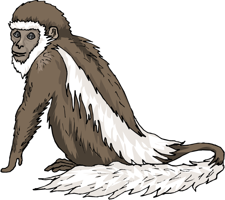 Monkey Clipart - Clip Art Colobus Monkeys (750x667)