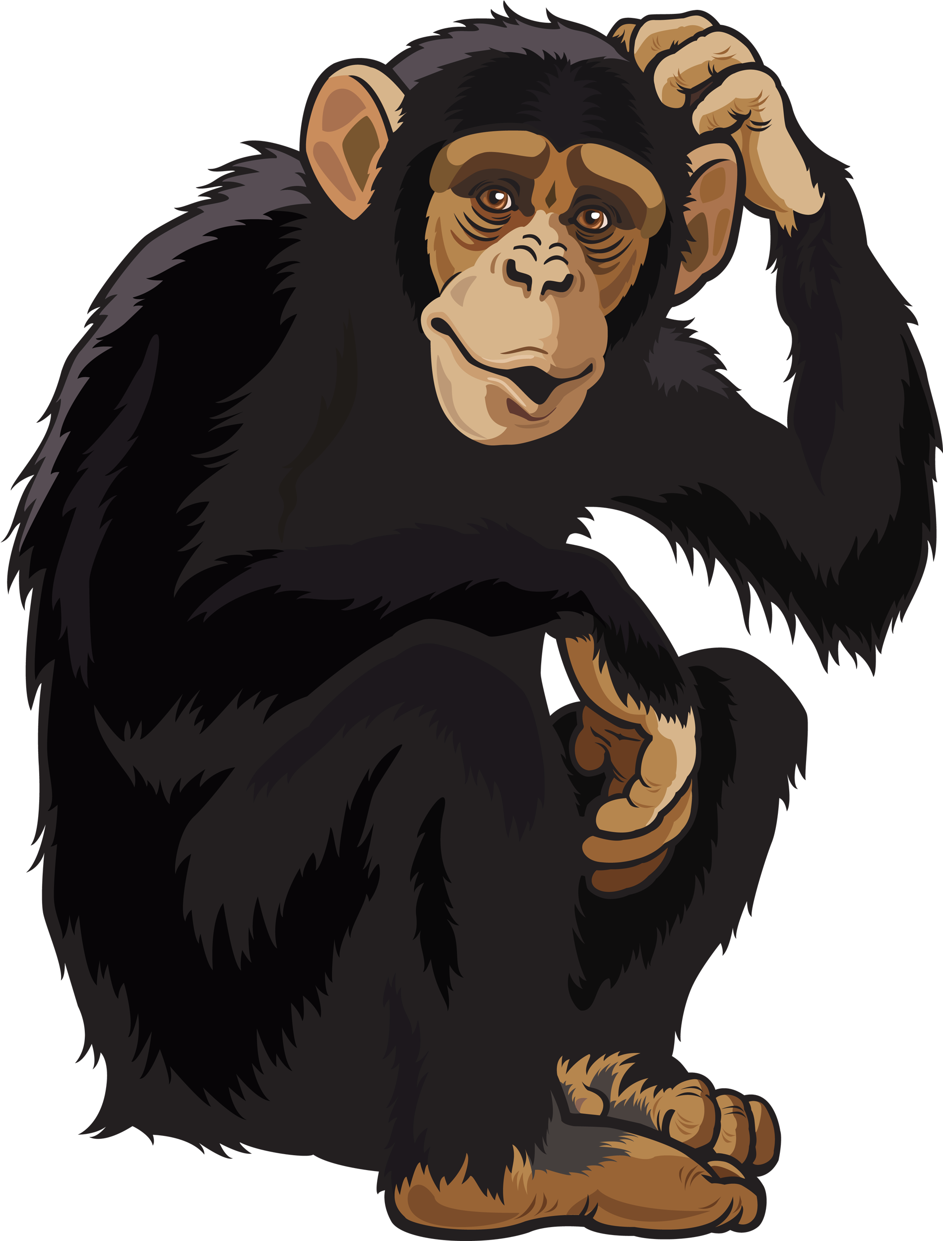 Monkey Png Clipart Image - Monkey Png (2044x2665)