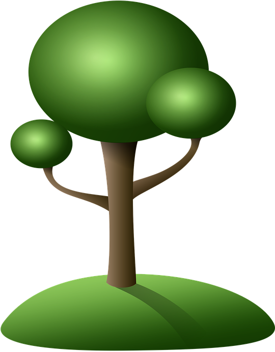 Tree Cartoon 14, - ต้นไม้ การ์ตูน Png (959x1280)