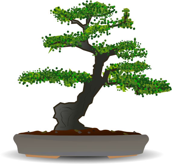 Bonsai Clipart Cartoon - Bonsai Vector (600x542)