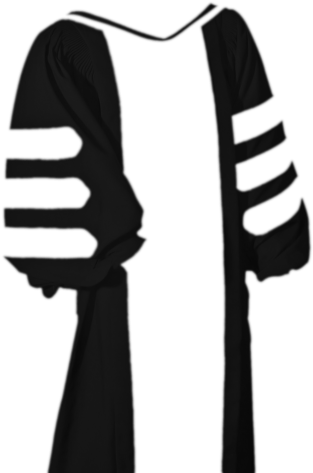 Custom Academic Regalia Such As Doctoral Gowns, Phd - Graduation Robe Png (318x520)