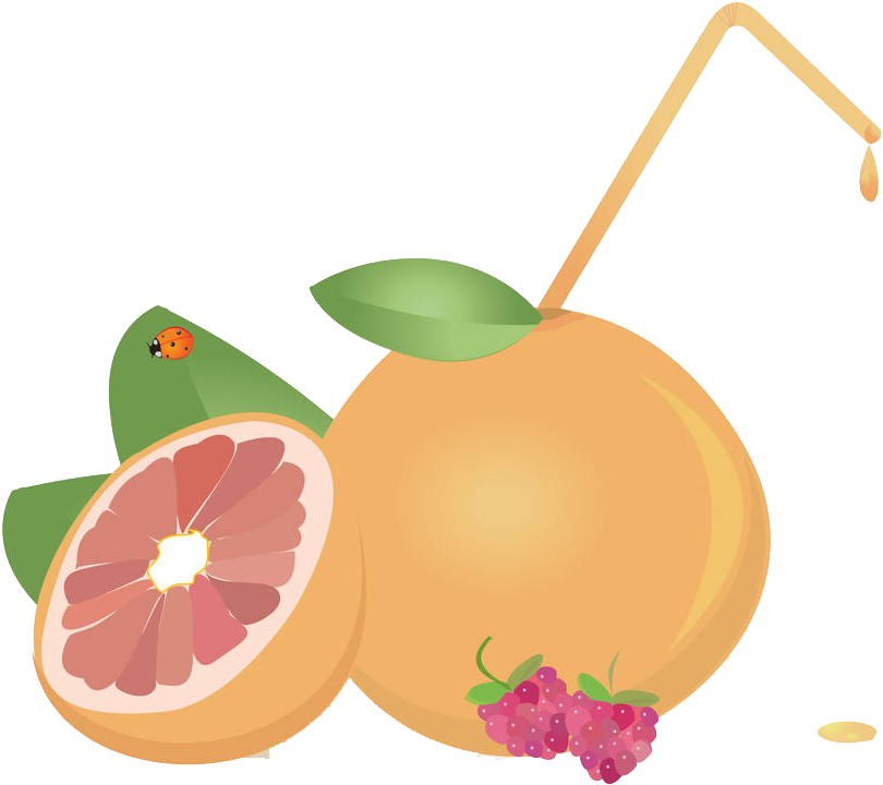 Juice Grapefruit Euclidean Vector - Juice Grapefruit Euclidean Vector (1000x829)