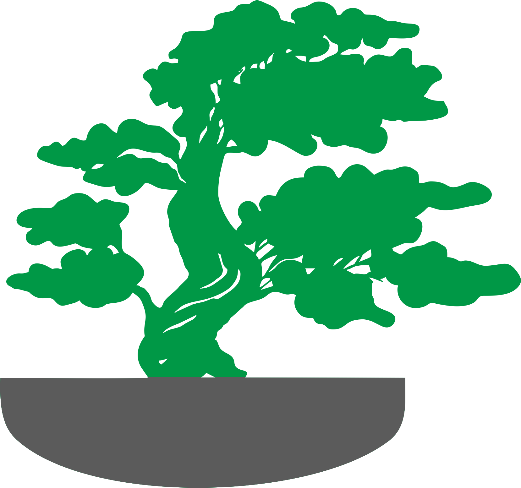 Über Uns - Siluet Bonsai (1658x1554)