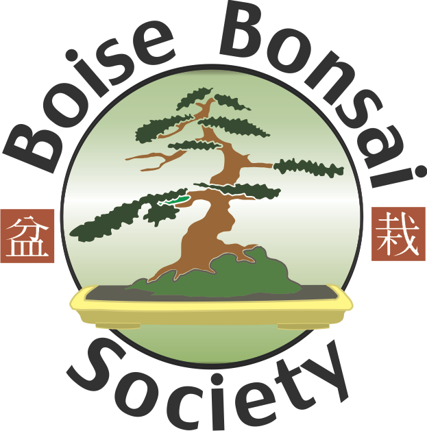 Boise Bonsai Society - Boise Bonsai Society (623x629)