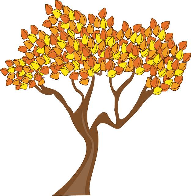 Autumn, Season, Tree, Leaves - Gambar Pohon Musim Gugur (625x640)