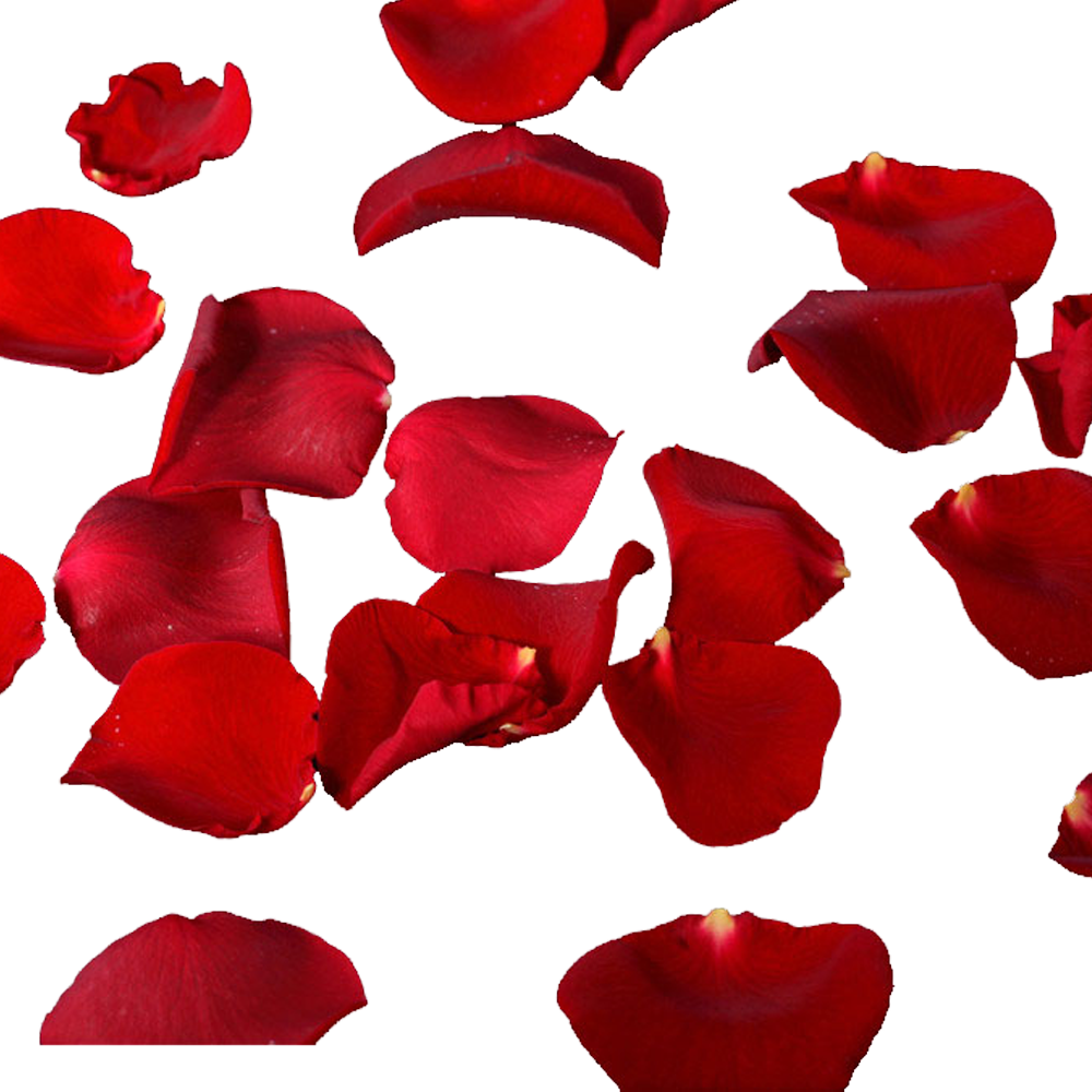 Rose Petals Falling Material - Rose Petals Falling Clipart (1000x1000)