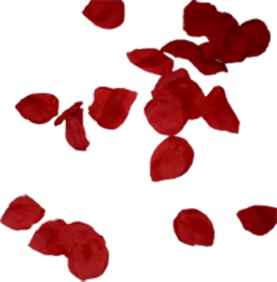 Rose Petals Falling Png Psd Detail - Petalas De Rosas Png (393x400)