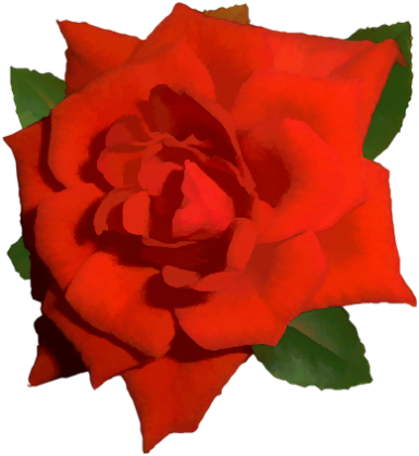 Bright Red Rose 01 - Png Flower Images With Transparent Roses Background (385x419)