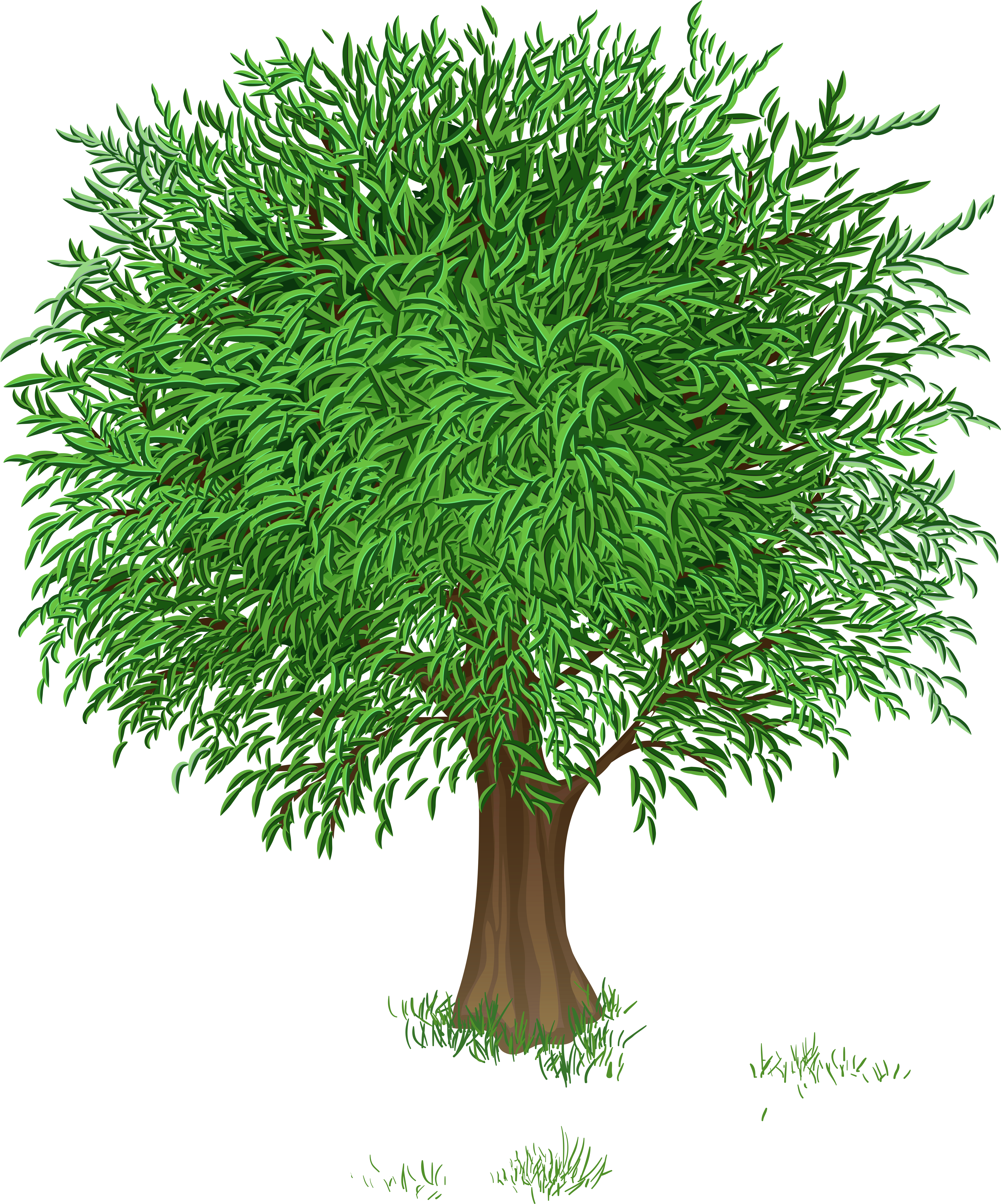 Photos Clipart Green Tree - Spring Tree Clipart (4486x5248)