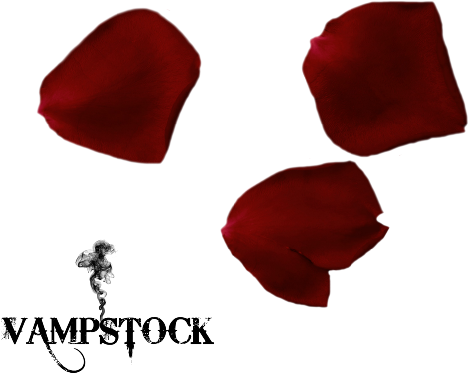 Rose Petal Png 6 Vampstock By Vampstock - Love My Family Background (1024x1024)
