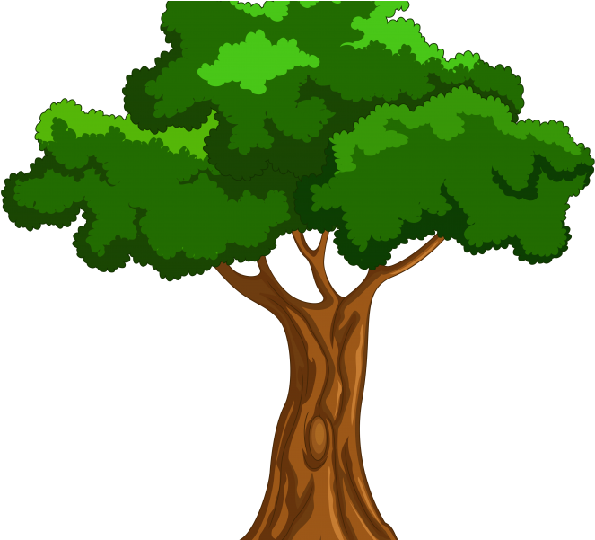 Tree Cartoon Picture Trees Clipart Clipartfest For - Big Book Of Beginner Reading Stories By Naomi Bradley (678x600)