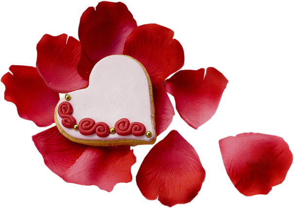 Roses Petals - Garden Roses (604x427)