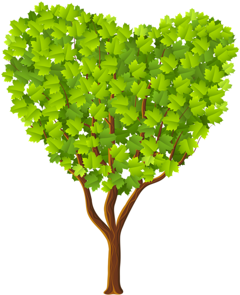 Green Heart Tree Transparent Png Image - Heart Tree Transparent (494x600)