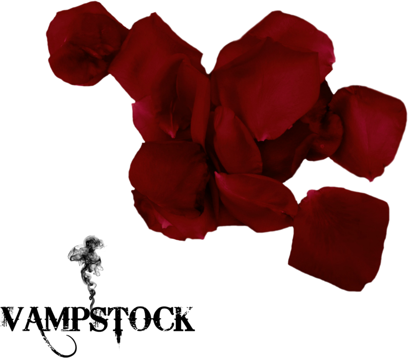 Rose Petal Png 7 Vampstock By Vampstock - Pink Umbrella Png (894x894)