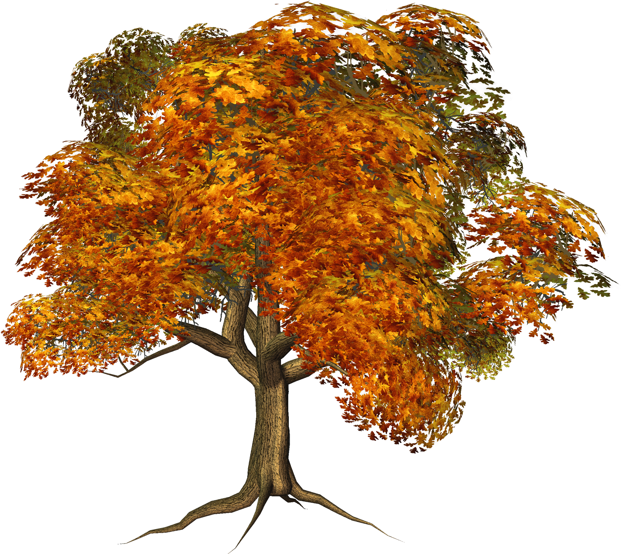 Fall Tree Clipart Png - Tree (2000x1776)