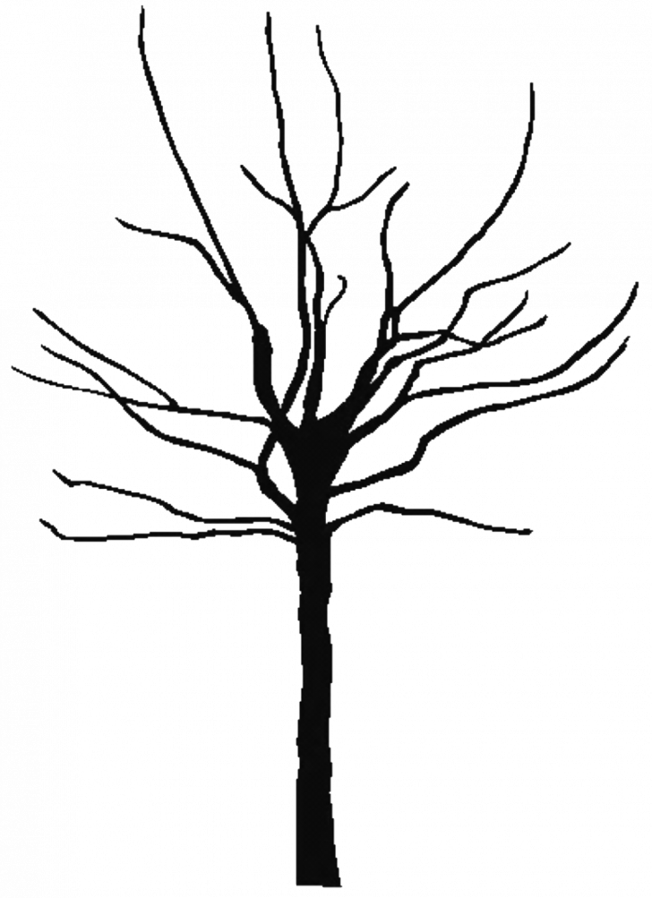 Tree Black And White Outline Clip Art On Apple Images - Bare Tree Silhouette Png (728x1003)