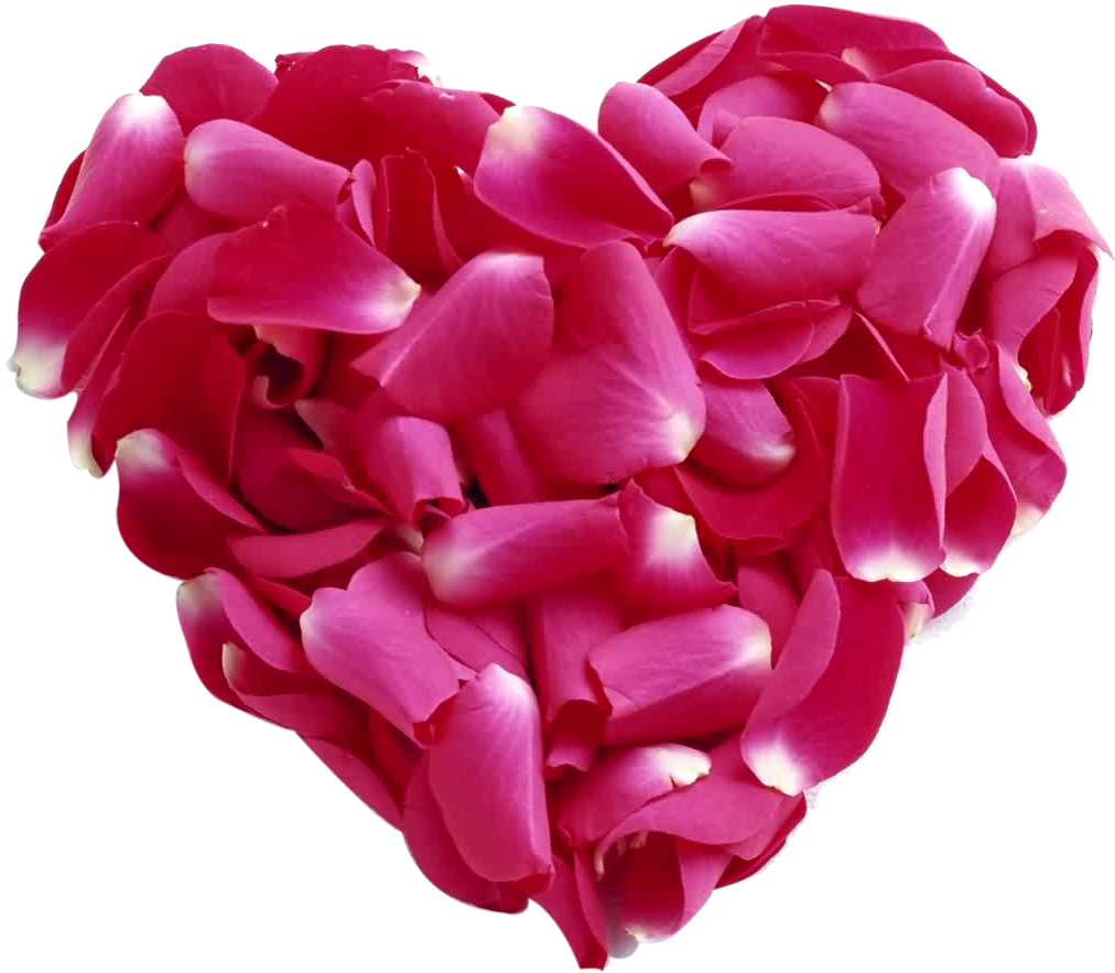 Pink Rose Petal Heart Png - Rose Patels Heart Png (1090x968)
