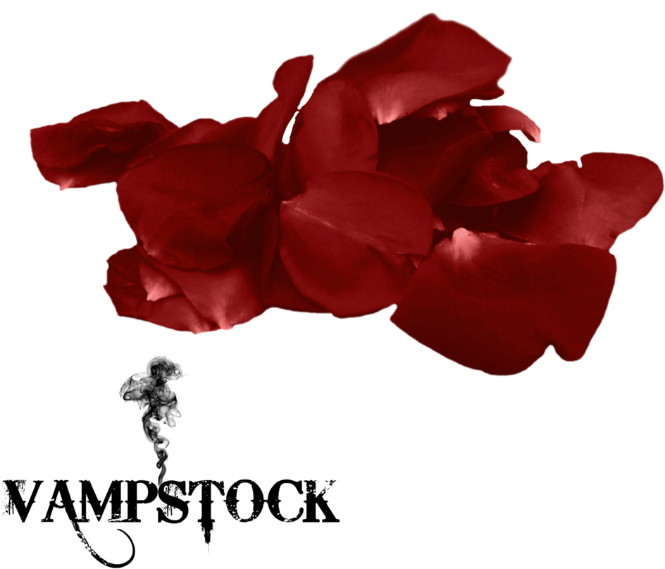 Rose Petal Png 8 Vampstock By Vampstock - Love My Family Background (1024x1024)
