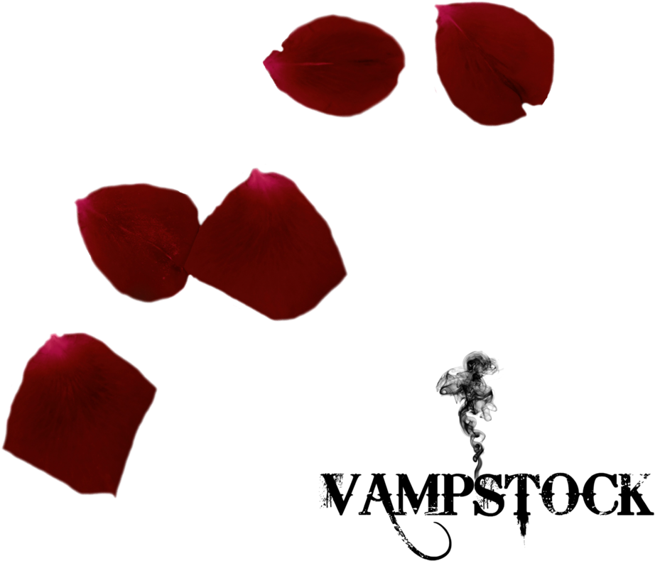 Rose Petal Png 1 Vampstock By Vampstock - Pink Umbrella Png (1024x1024)
