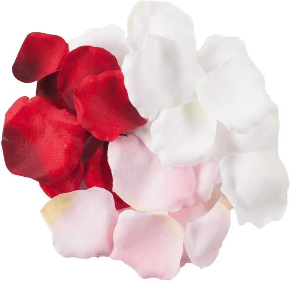 Add A Touch Of Elegance With Delicate Rose Petals Whether - Petal (600x583)