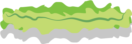 Mayo Pattie Tomato Cheese Redonion Lettuce Sauce2 Btop - Mayo Pattie Tomato Cheese Redonion Lettuce Sauce2 Btop (520x235)