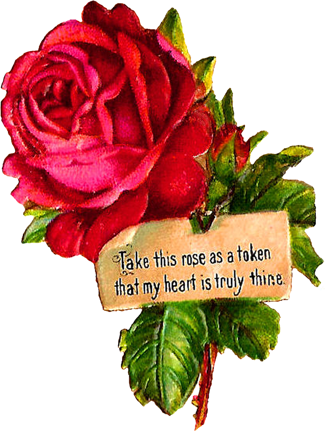 Pink Rose Clipart Dozen Rose - Clip Art (1217x1600)