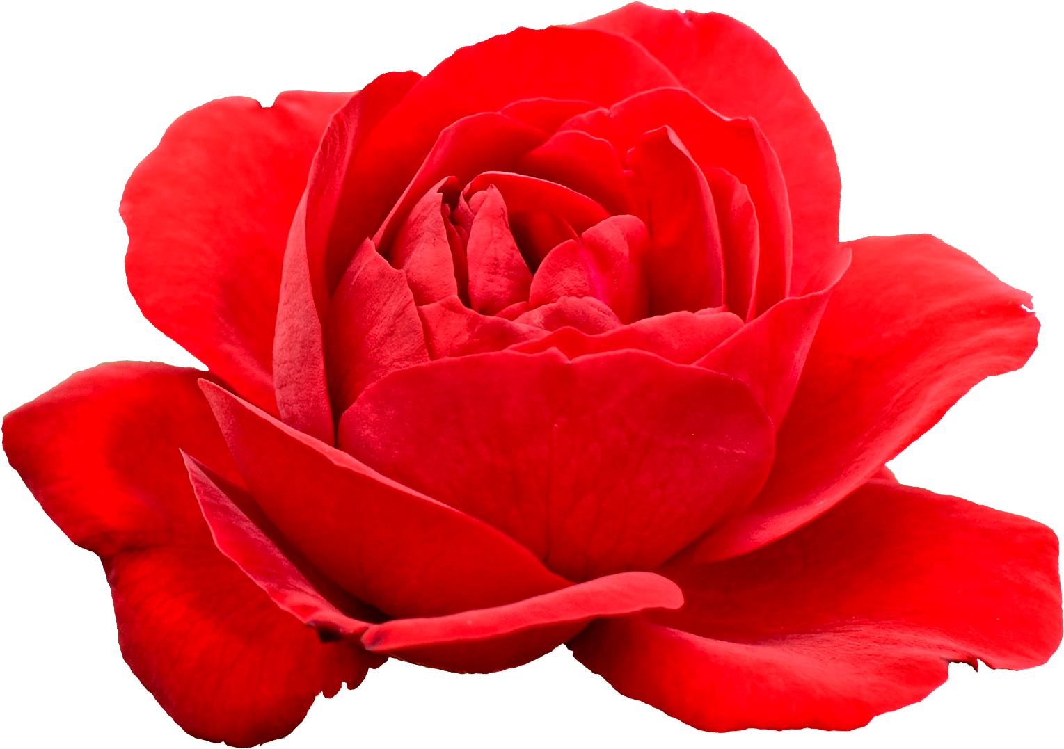 Free Download - Portable Network Graphics (1800x1400)