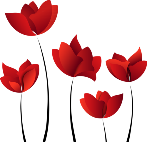 Tubes Fleurs - Happy Anniversary Wonderful Husband (500x483)