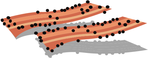 Lettuce Tomato Pattie2 Cheddarcheese3 Pattie Fry Peppered - Illustration (520x235)