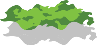 Pesto - Pesto (520x235)