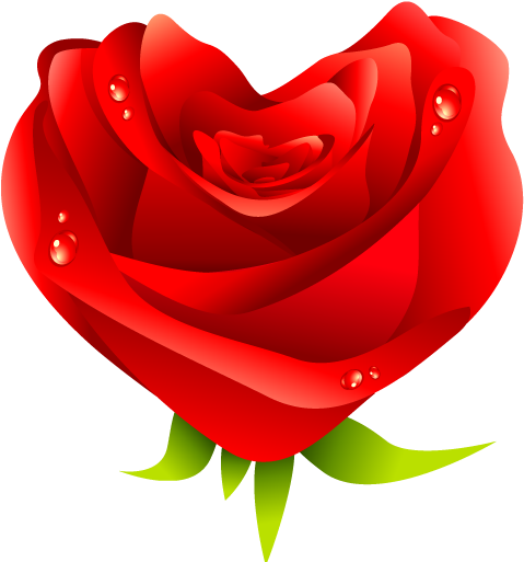 Red Rose Icon - Rose (512x512)