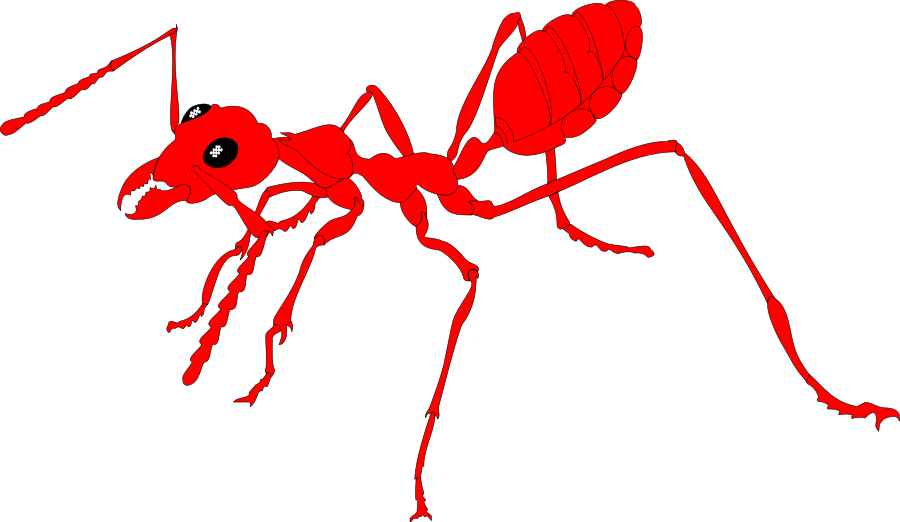 Insect Animal 24 Clip Art - Ant (900x522)