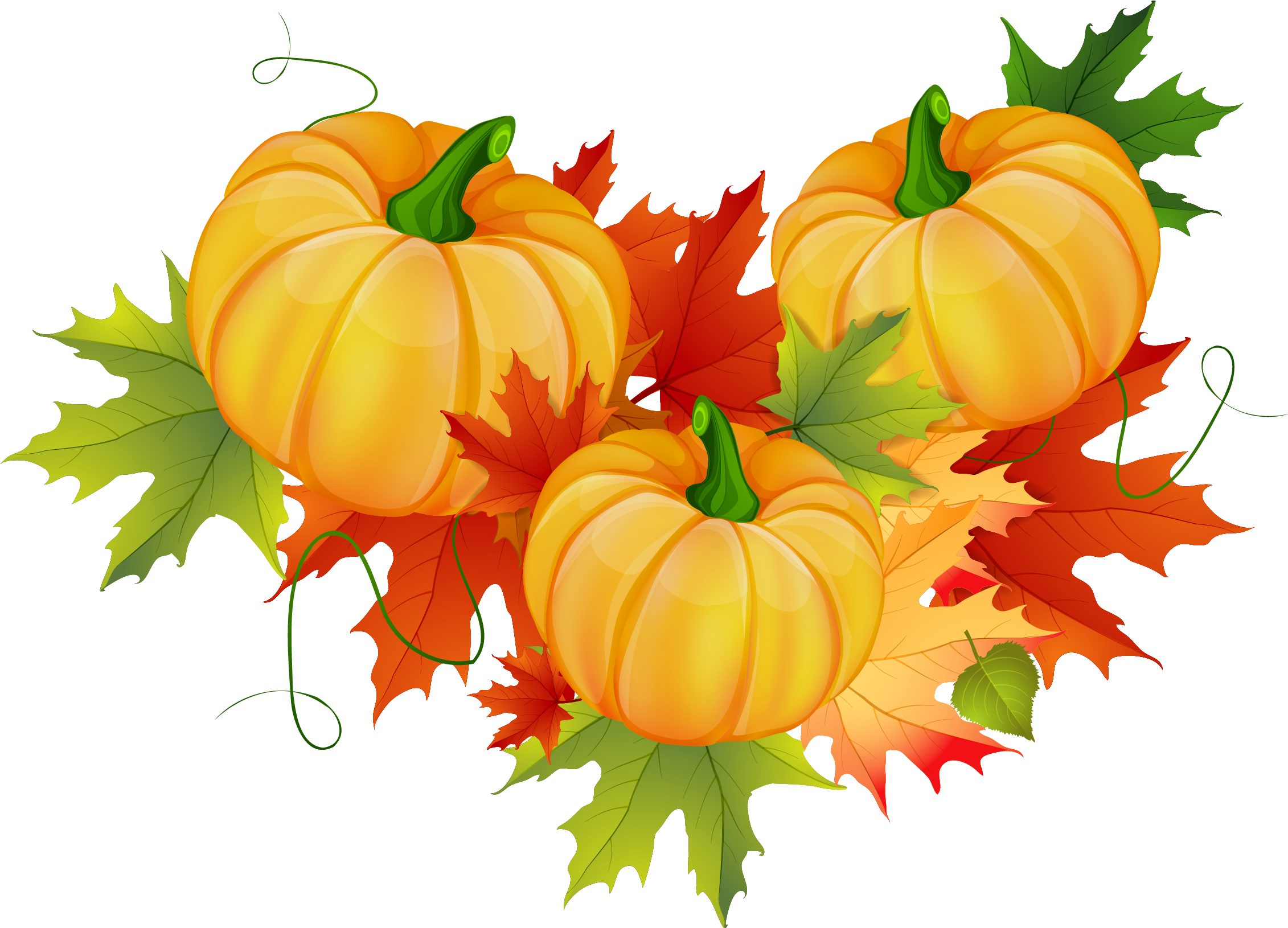 Thanksgiving Pumpkin Decoration Png Clipart - Thanksgiving Clip Art Funny (2313x1717)