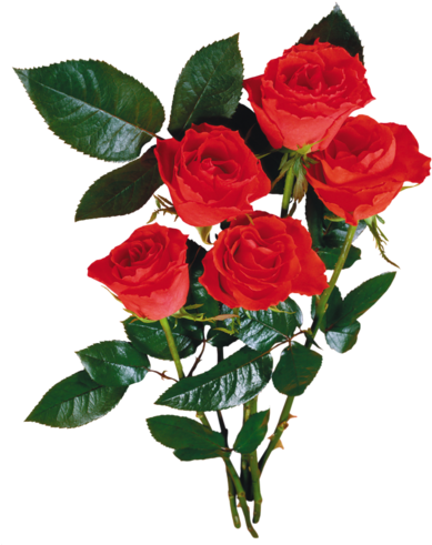 5-2 19 - Bouquet De Rose Rouge En Png - (392x500) Png Clipart Download