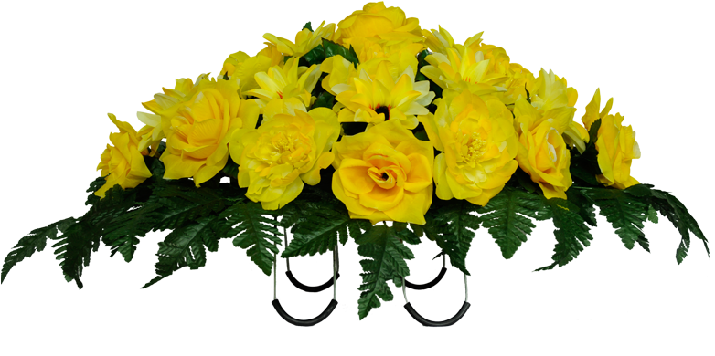 Yellow Rose Flower Free Png Transparent Images Free - Yellow Rose Bush Transparent (800x800)