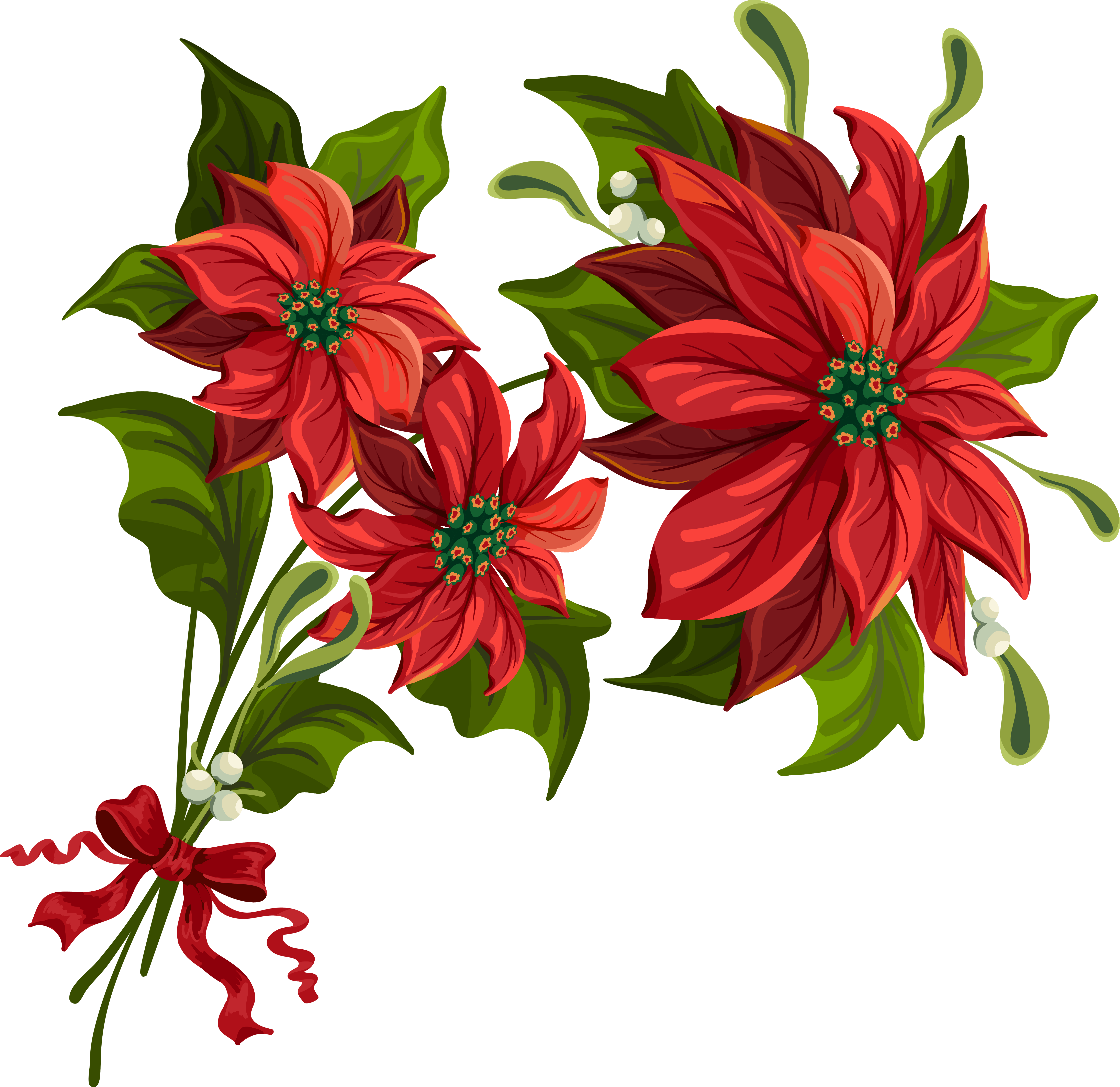 Poinsettia Clip Art Free - Poinsettia Art (5500x5340)
