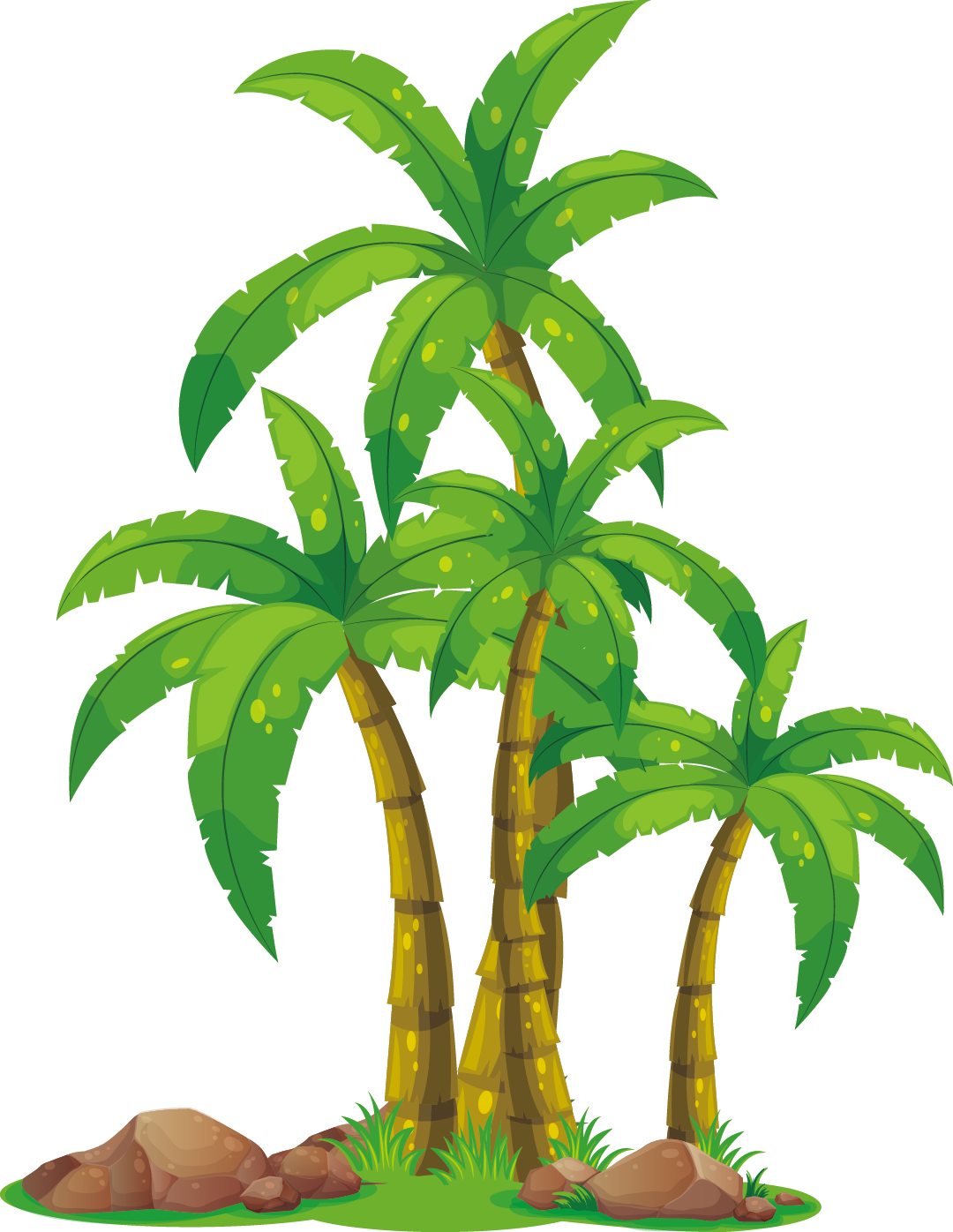 Arecaceae Euclidean Vector Clip Art - Palm Tree Clip Art (1080x1396)