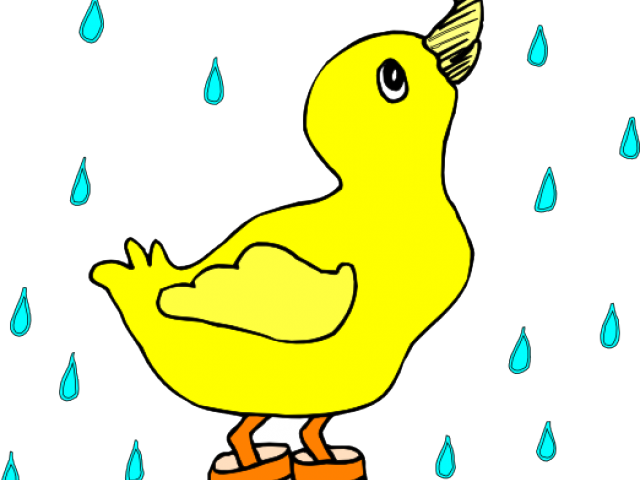 Rain Clipart Duck - Duck In A Puddle (640x480)