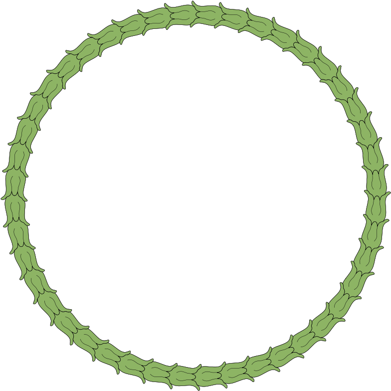 Free Wreath Ornamental Decoration - Accessories Brand (793x800)
