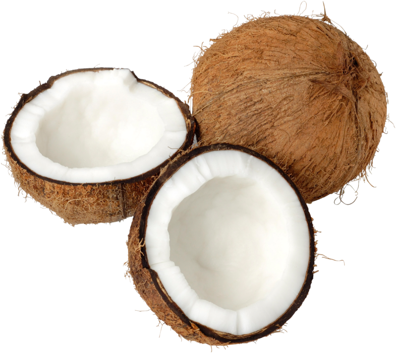 Coconut Clipart Images Coconut Clipart Photos Coconut - Coconut .png (800x718)