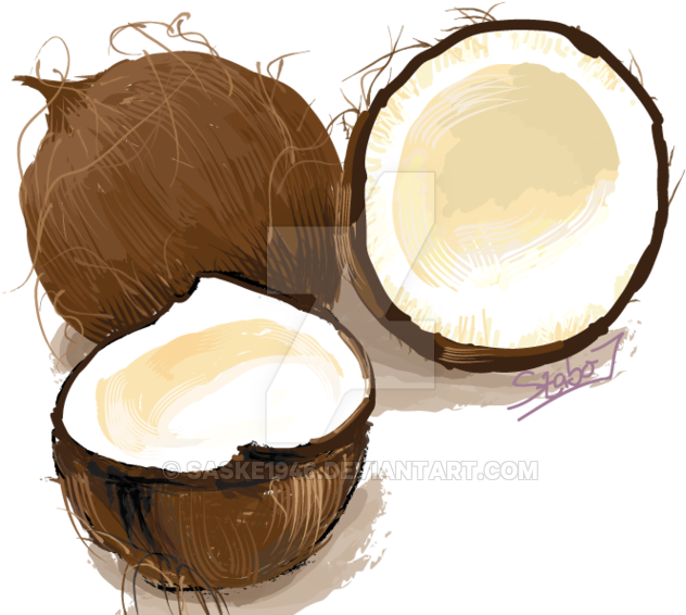 Coconut Illustration By Saske1946 - Buttercream (800x565)