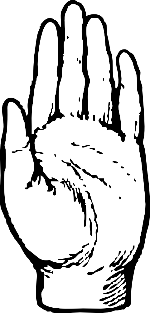 Reminder Clip Art Free - Left Hand Clip Art (481x1000)