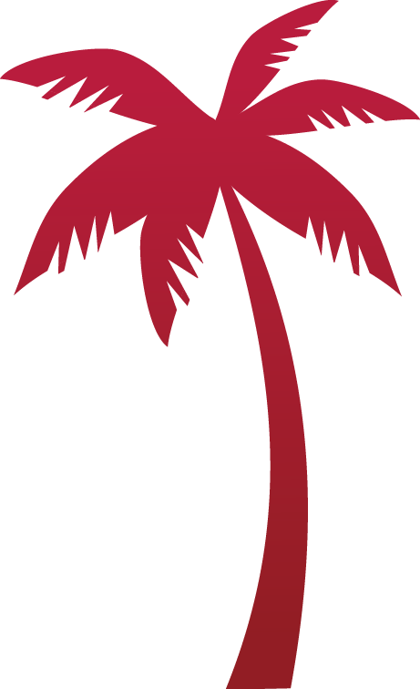 Tropicana Tree Coconut Euclidean Vector - Illustrator Coconut Tree Vector (461x756)
