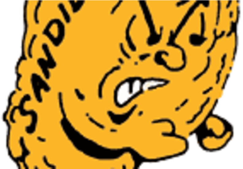 The Amarillo High Lady Sandies Golf Team Holds A 24 - Amarillo High School Sandies (985x551)